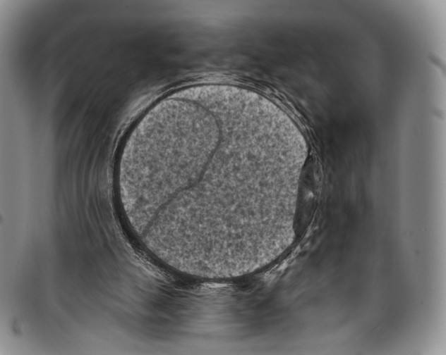 X0000096680055200803041249