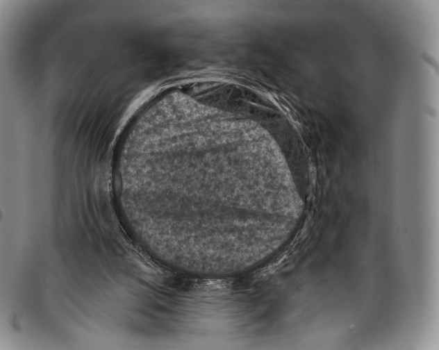 X0000096680056200803041249