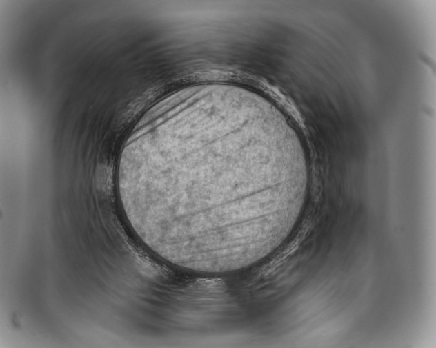 X0000096680057200803041249