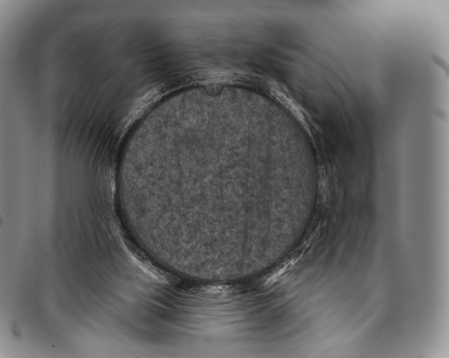 X0000096680059200803041249