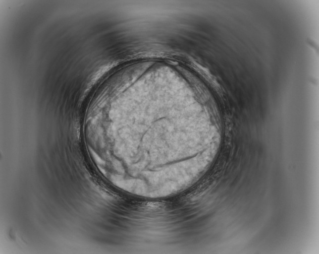 X0000096680060200803041249