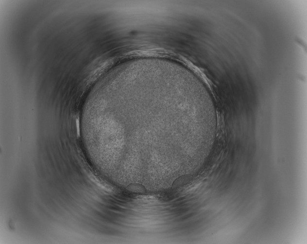 X0000096680061200803041249
