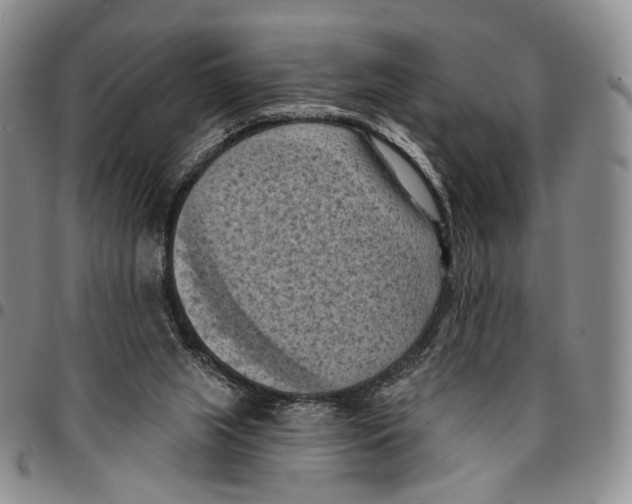 X0000096680063200803041249