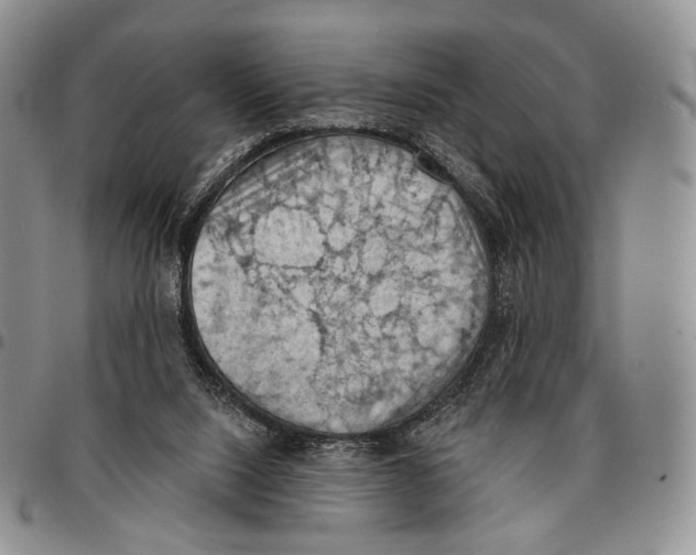 X0000096680064200803041249