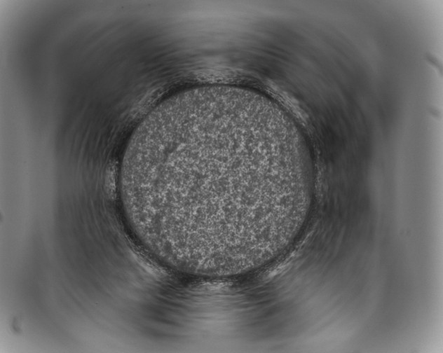 X0000096680065200803041249
