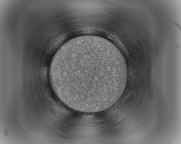 X0000096680066200803041249