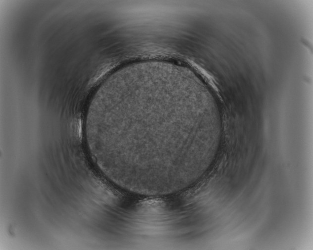 X0000096680067200803041249