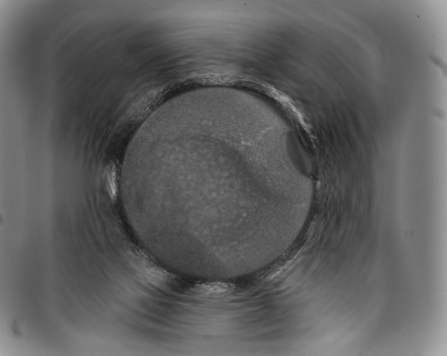 X0000096680069200803041249