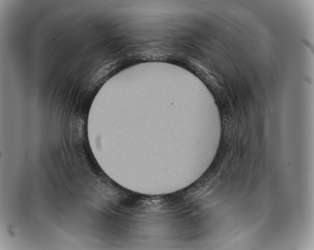 X0000096680071200803041249