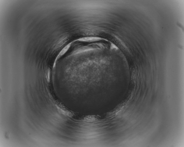 X0000096680076200803041249