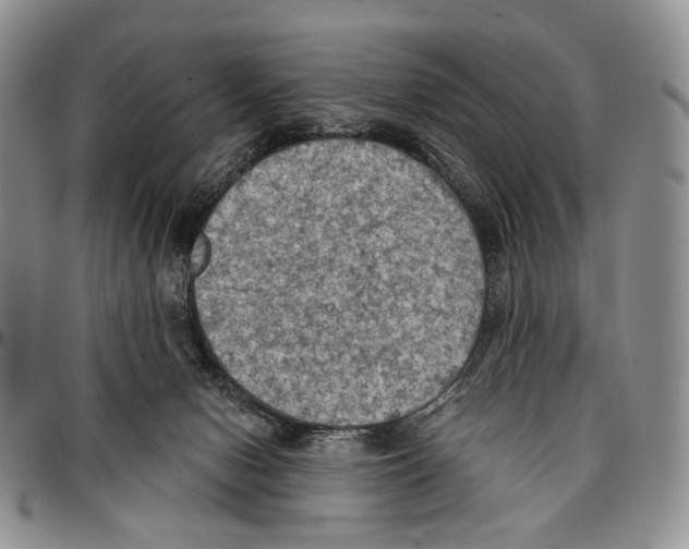 X0000096680078200803041249