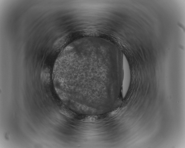 X0000096680080200803041249
