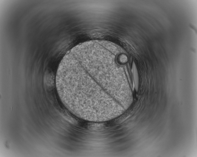 X0000096680081200803041249