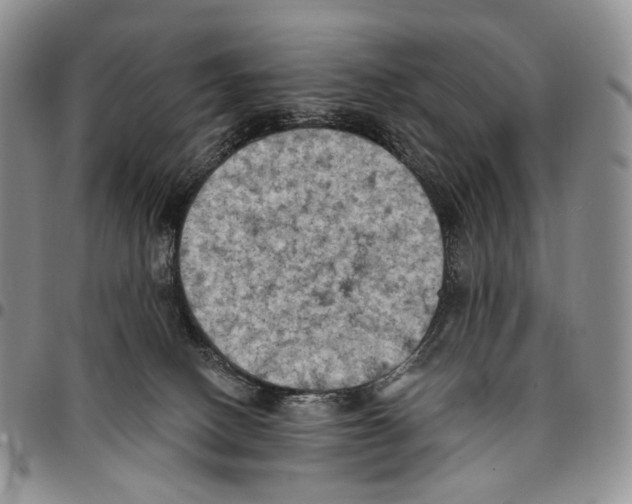 X0000096680082200803041249