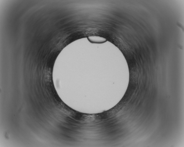 X0000096680083200803041249