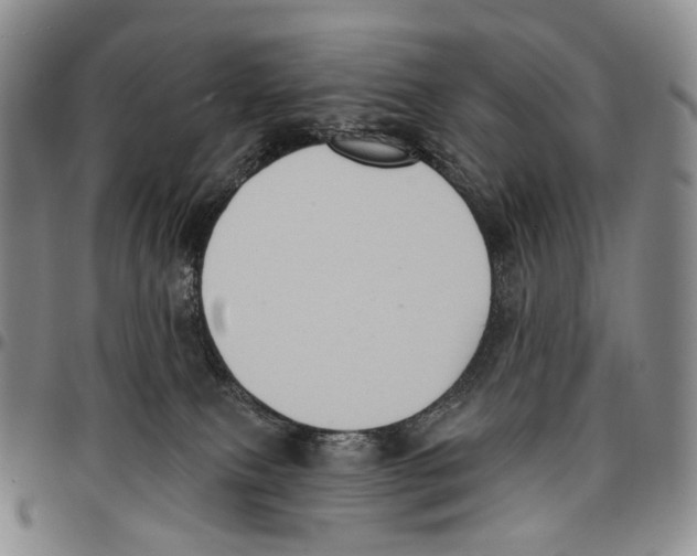 X0000096680087200803041249