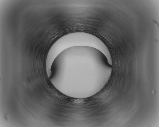 X0000096680088200803041249