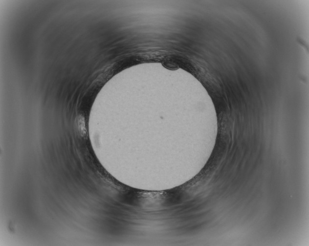 X0000096680089200803041249