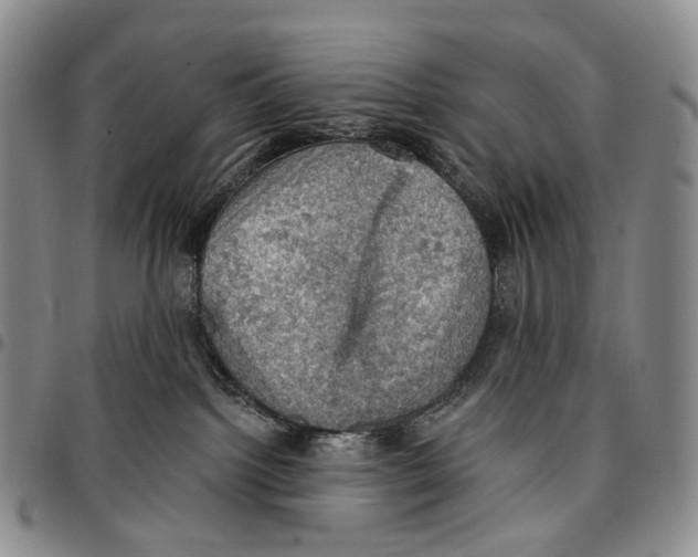 X0000096680092200803041249