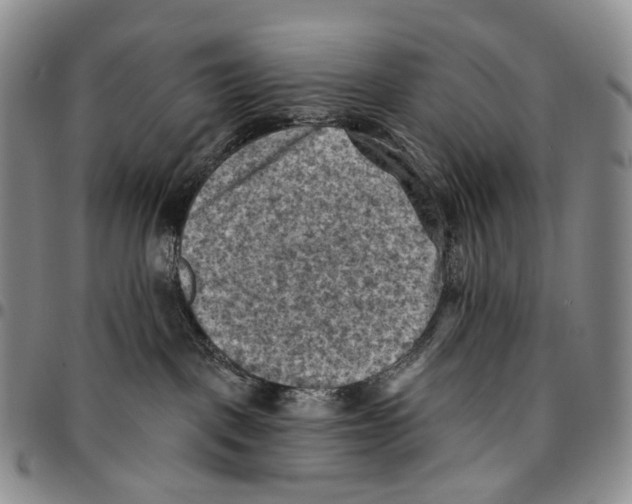 X0000096680093200803041249