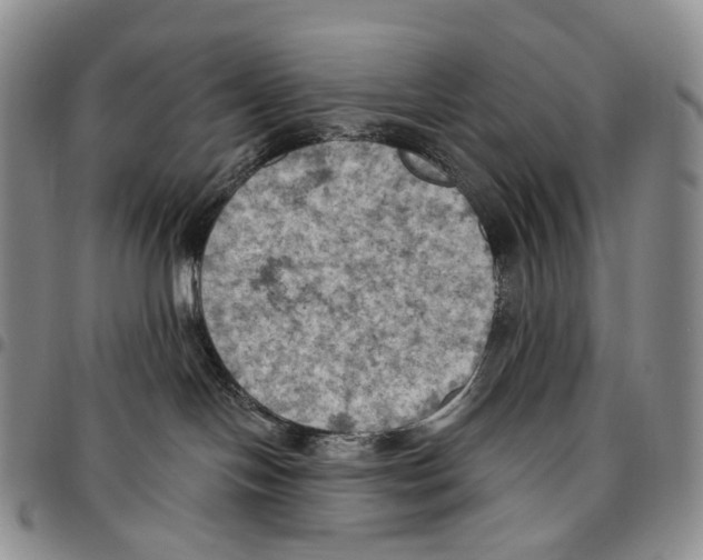 X0000096680094200803041249