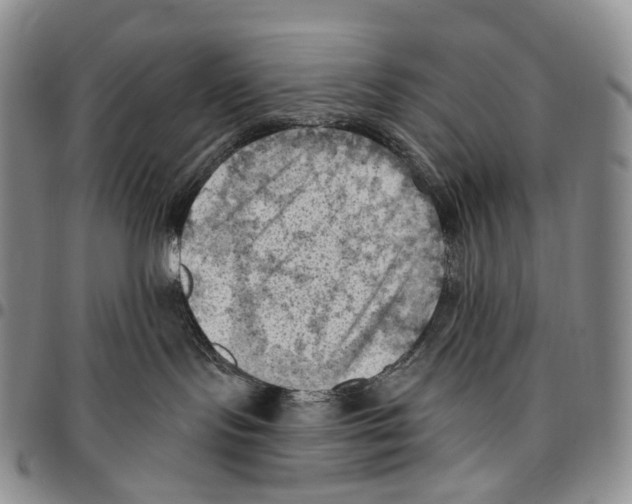 X0000096680095200803041249