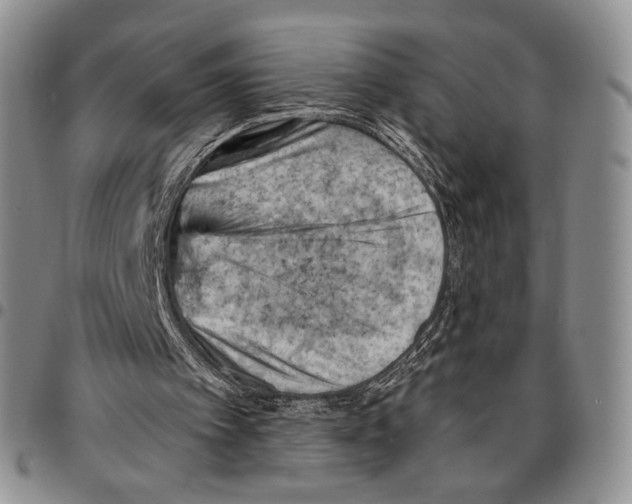 X0000096680097200803041249