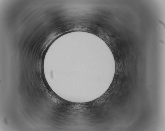 X0000096680098200803041249
