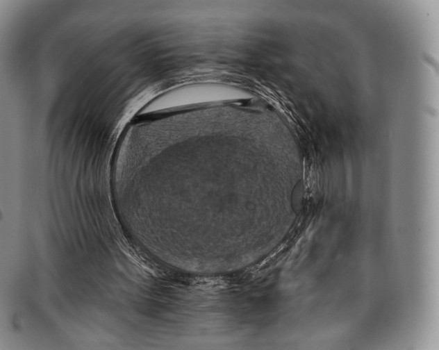 X0000096680099200803041249