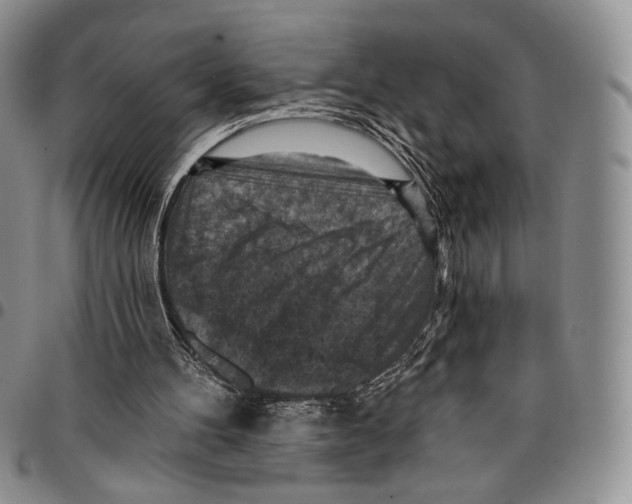 X0000096680100200803041249