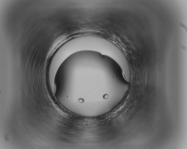 X0000096680101200803041249