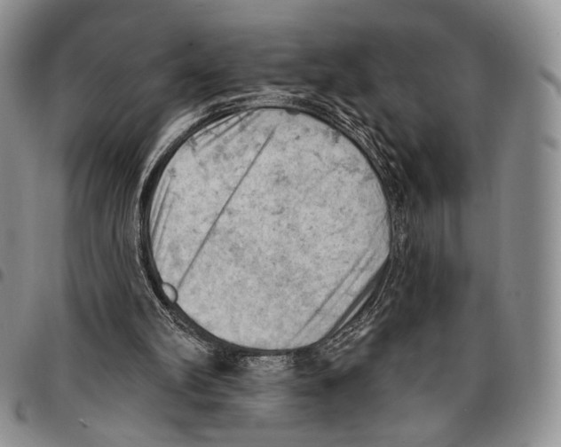 X0000096680102200803041249