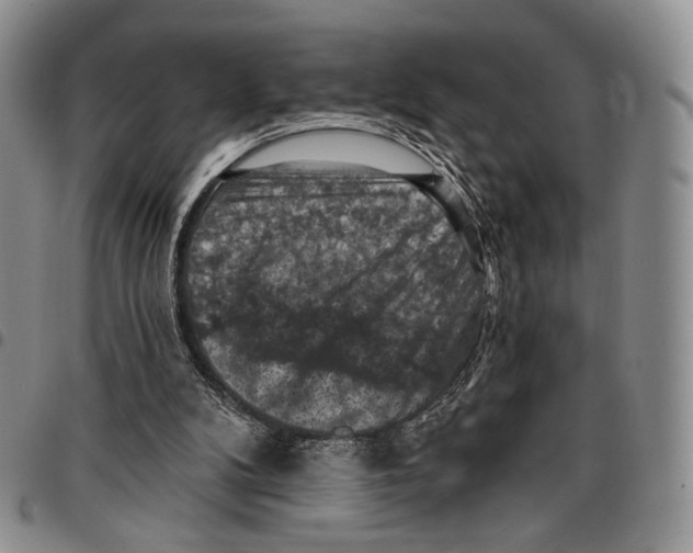 X0000096680104200803041249