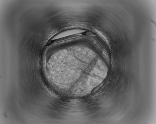 X0000096680105200803041249