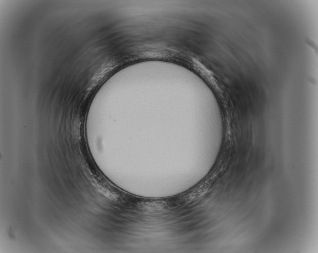 X0000096680106200803041249