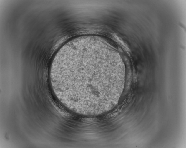 X0000096680107200803041249