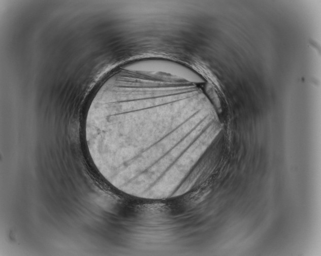 X0000096680108200803041249