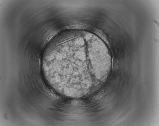 X0000096680109200803041249