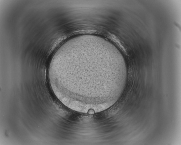 X0000096680110200803041249