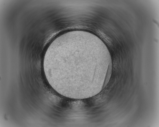 X0000096680112200803041249