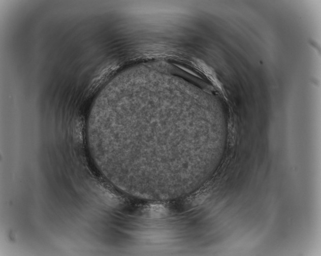 X0000096680114200803041249