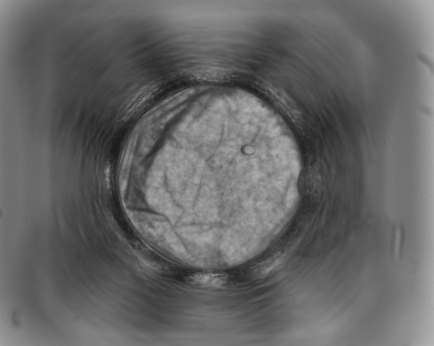 X0000096680117200803041249