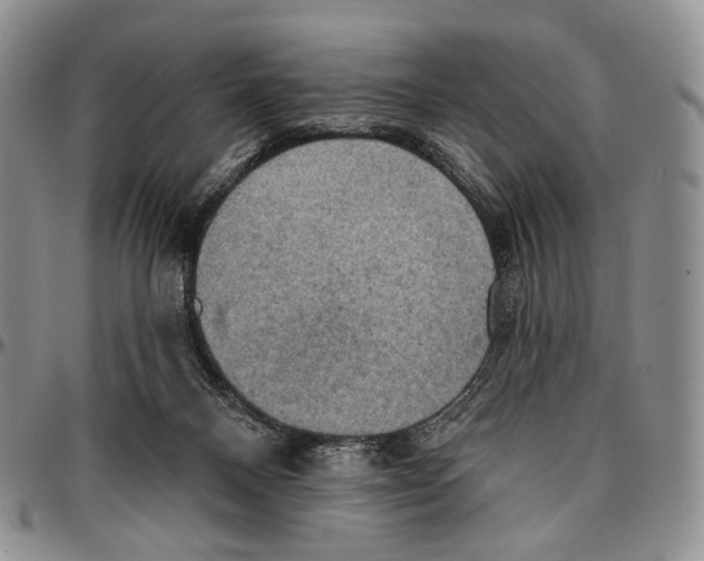 X0000096680120200803041248