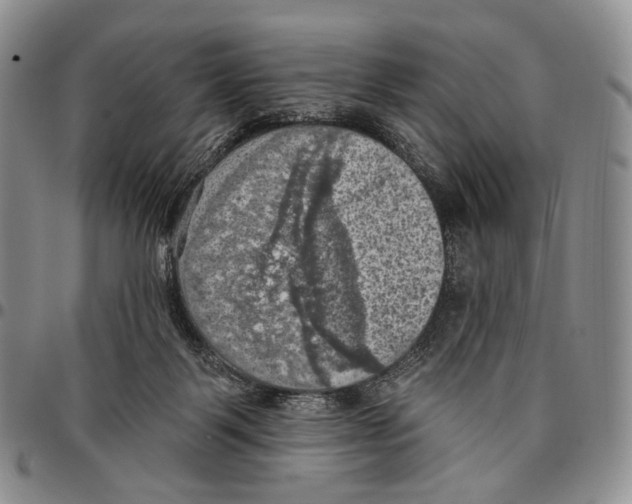 X0000096680123200803041248