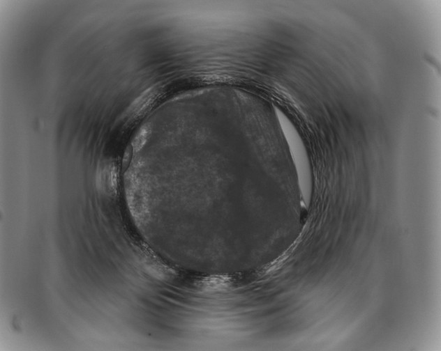 X0000096680124200803041248