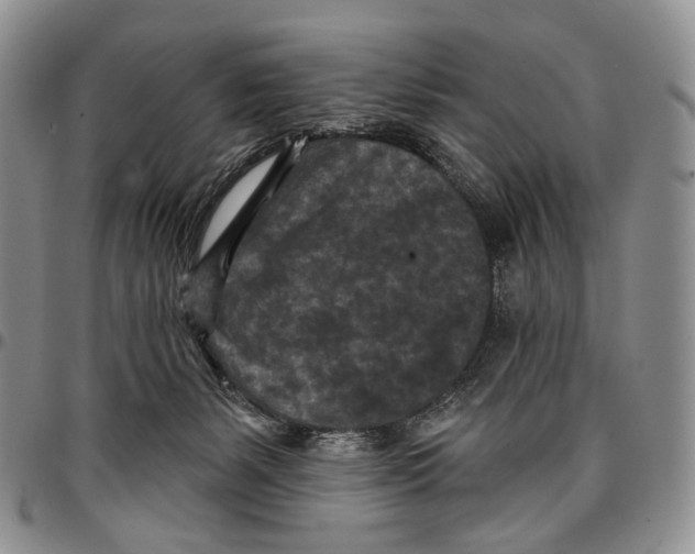 X0000096680127200803041248