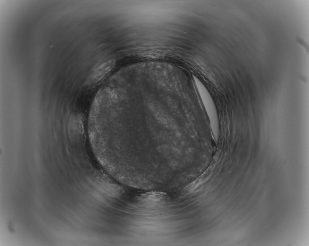 X0000096680128200803041248