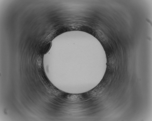 X0000096680129200803041248