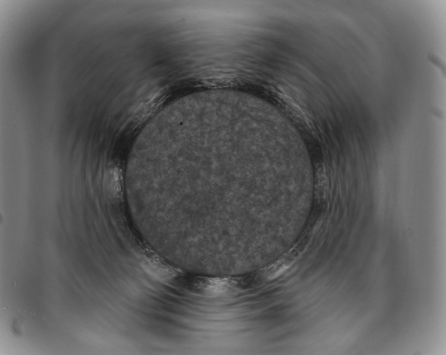 X0000096680130200803041248