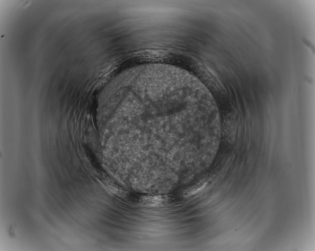 X0000096680131200803041248